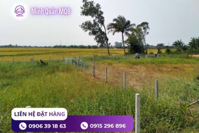 Trụ bê tông 90x90x2500mm làm hàng rào tại Miền Nam 9 Trụ bê tông 90x90x2500mm chất lượng cao
