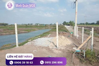 Trụ bê tông 90x90x2500mm làm hàng rào tại Miền Nam 8 Trụ bê tông 90x90x2500mm đúc sẵn