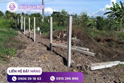 Trụ bê tông rào đất giá rẻ