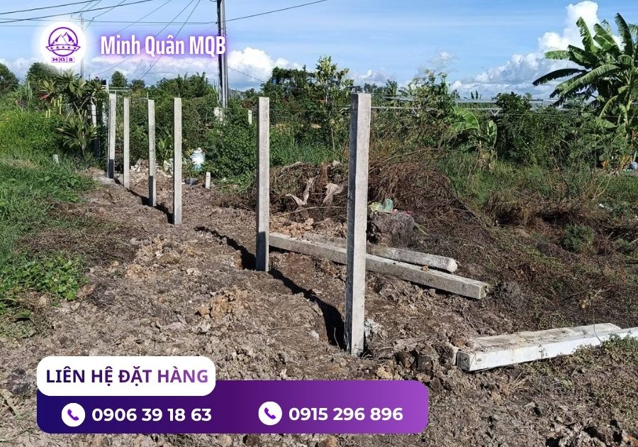 Trụ bê tông rào đất giá rẻ