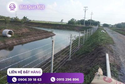 Trụ bê tông rào đất giao hàng nhanh tại Miền Nam
