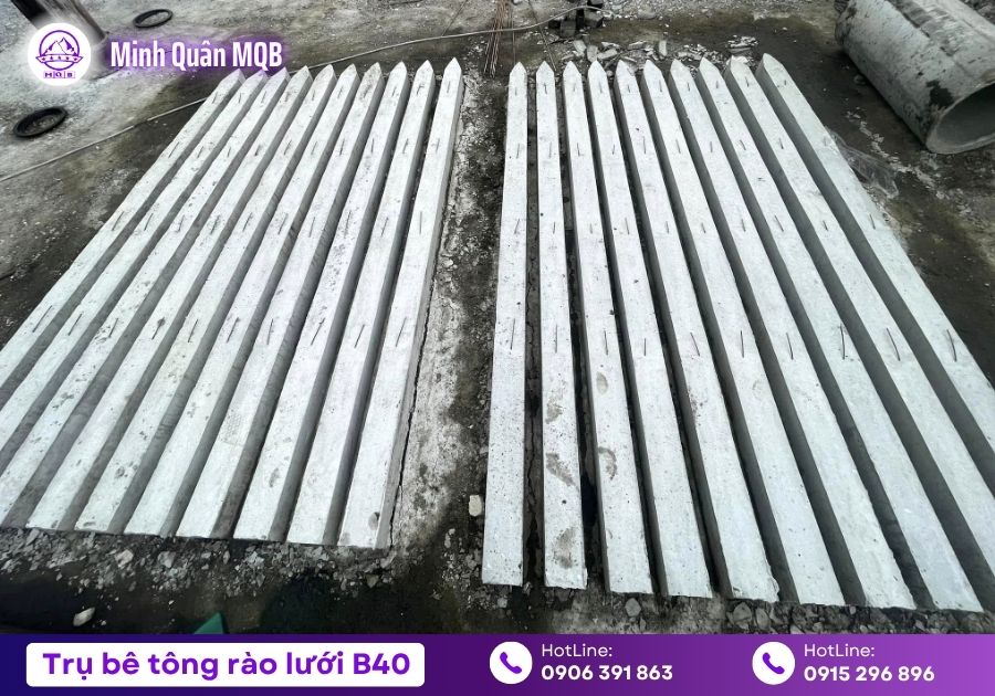 Bán trụ bê tông Vĩnh Long rào đất, trồng cây 2 tru be tong tai vinh long chat luong