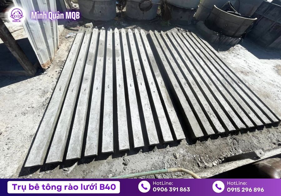 Bán trụ bê tông Vĩnh Long rào đất, trồng cây 6 tru be tong tai vinh long trong cay