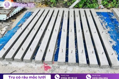 Trụ rào 100x100x2500mm tại Tây Ninh