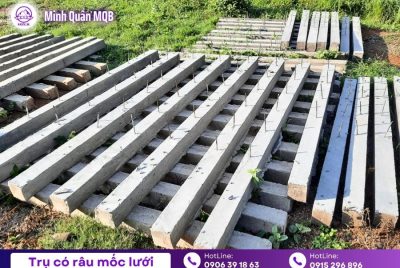 Trụ rào 100x100x2500mm tại Tây Ninh chất lượng