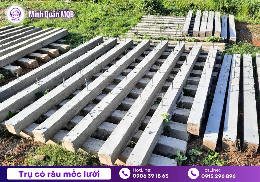 Trụ rào 100x100x2500mm tại Tây Ninh chất lượng