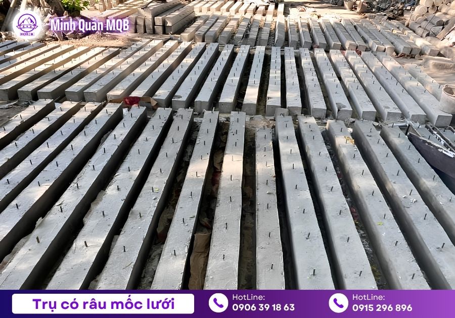 Trụ rào 100x100x2500mm tại Tây Ninh giao nhanh