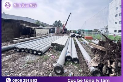 coc PHC d300 du ung luc