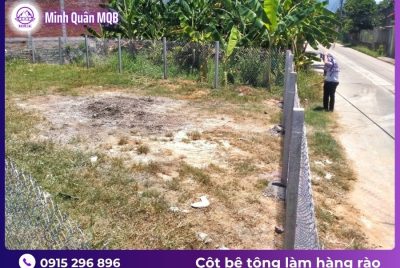 Cọc bê tông làm hàng rào