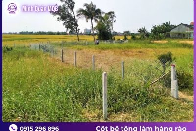 coc be tong lam hang rao co rau moc luoi