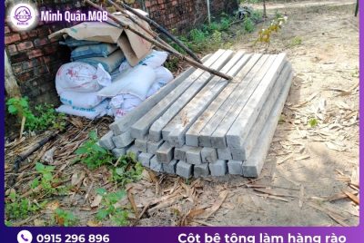 coc be tong lam hang rao co rau moc luoi b40