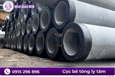 Cọc ly tâm D450