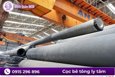 coc ly tam D450 chong lun