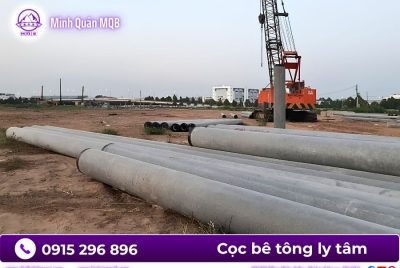 coc ly tam D450 tai mien nam