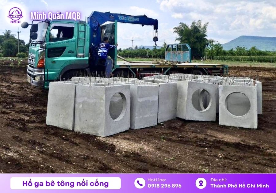 ho ga vuong noi cong duc san