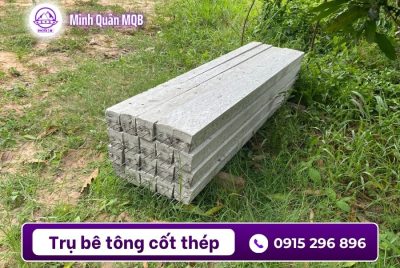 tru 100x100x2000mm be tong cot thep rao luoi