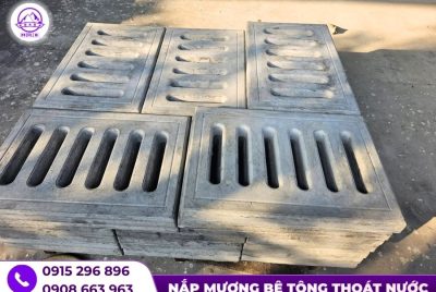 bao gia tam dan nap muong