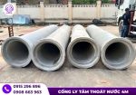 Cống thoát nước D300