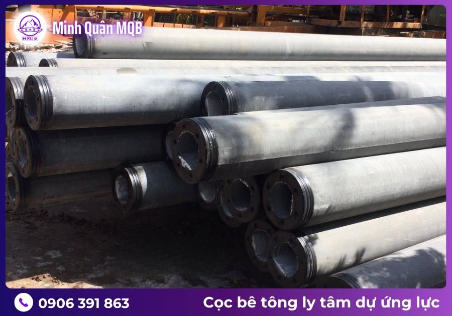 gia coc ly tam chong lun