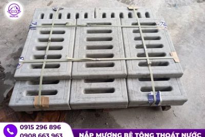 gia tam dan nap muong moi nhat