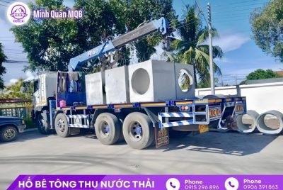 ho ga d400 duc san