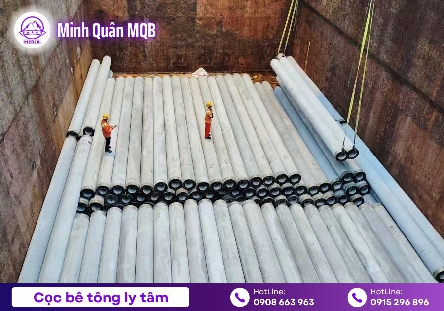 gia coc ly tam d300 tai long an moi nhat