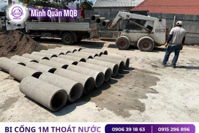 gia cong bi dan sinh D300 duc san
