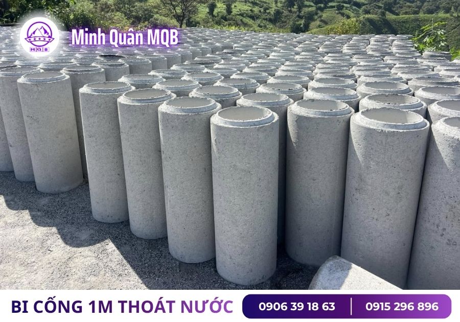 gia cong bi dan sinh D300 moi nhat