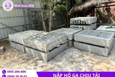 gia nap ho ga duc san hang moi