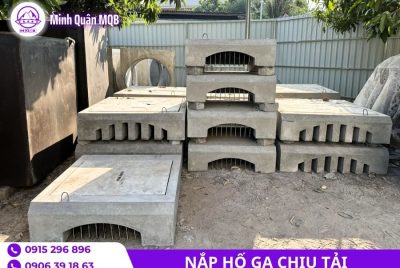 gia nap ho ga duc san tai mien nam