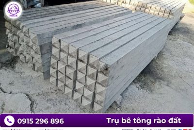 gia tru be tong 100x100x2000mm rao luoi