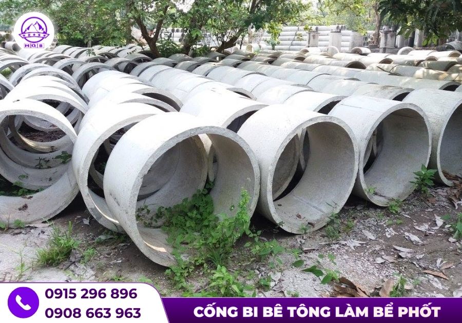 be tu hoai be tong duc san d800