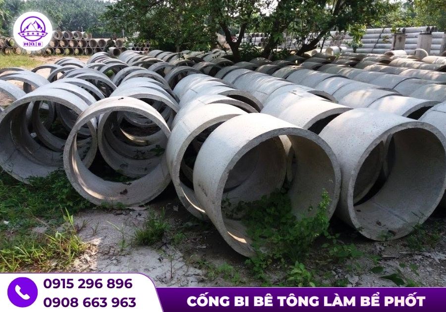 be tu hoai be tong duc san tcvn