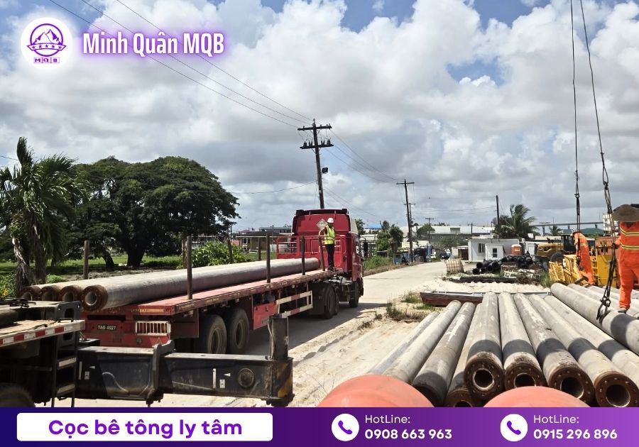 coc tron rong lam mong