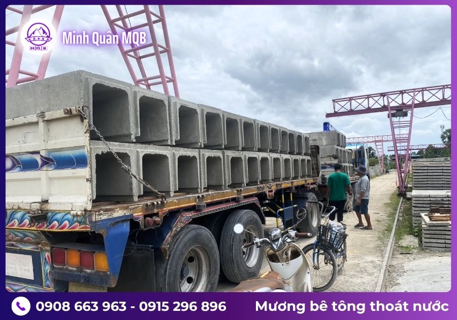 mang chu u duc san