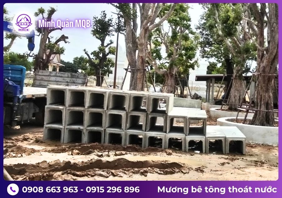 mang chu u gia re