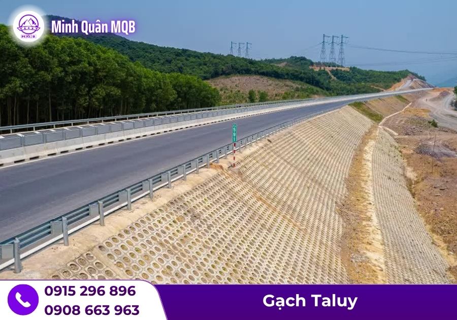 Gạch lát taluy 