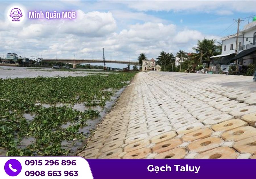 Gạch lát taluy được dùng để lát ở bờ kênh