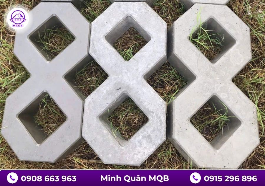 Gạch số 8 sau khi lát cần bao lâu để cỏ phát triển? 2 Gạch số 8 trồng cỏ