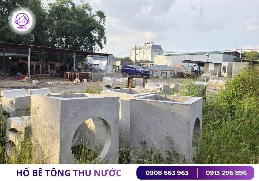 ho ga nuoc mua tai cu chi minh quan mqb