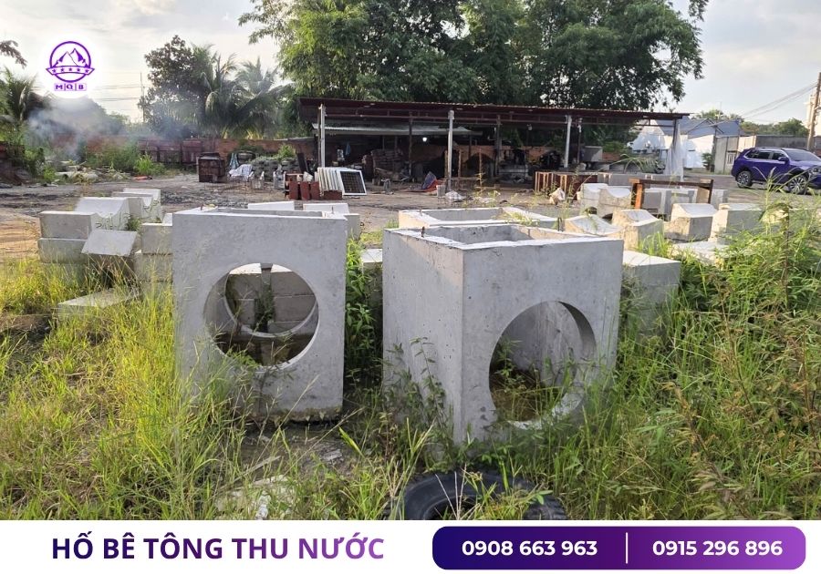 ho ga nuoc mua tai cu chi tphcm